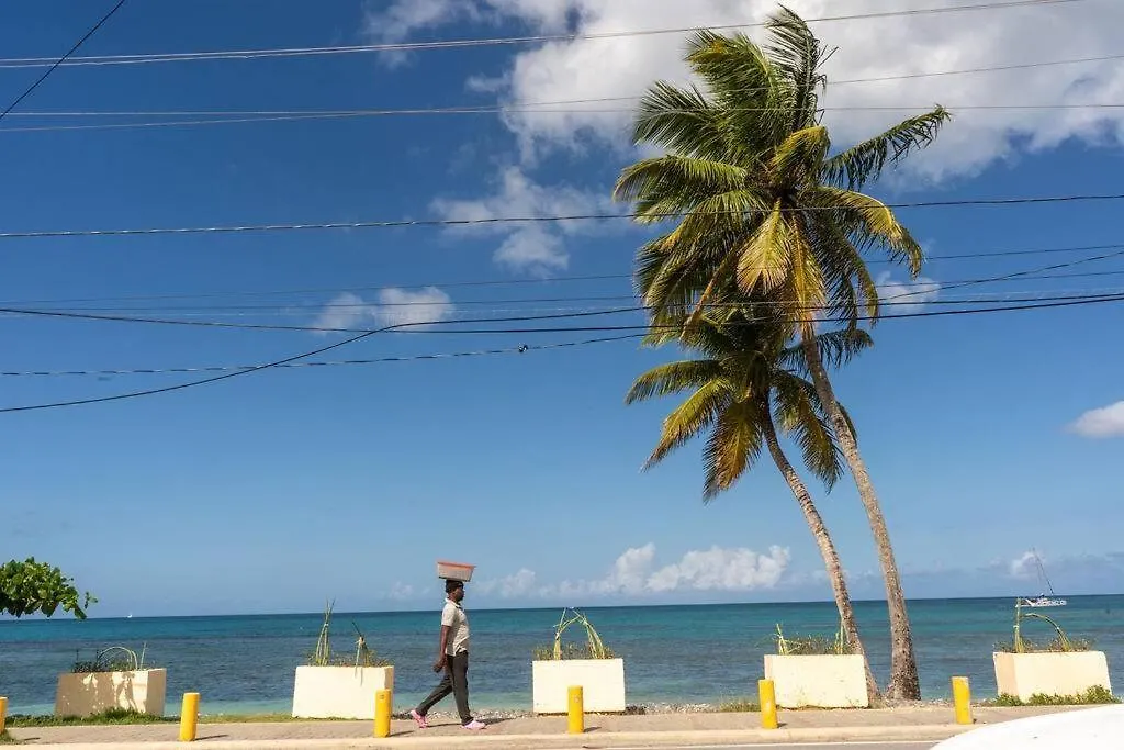 Renovated Condo At The Beach Close To Everything Las Terrenas