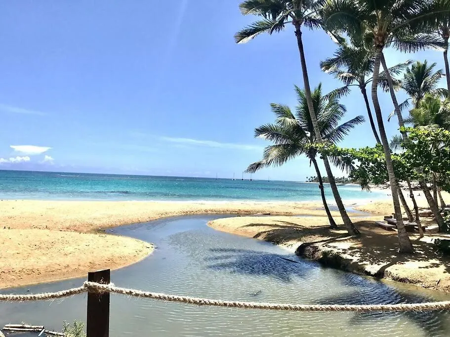 Renovated Condo At The Beach Close To Everything Las Terrenas