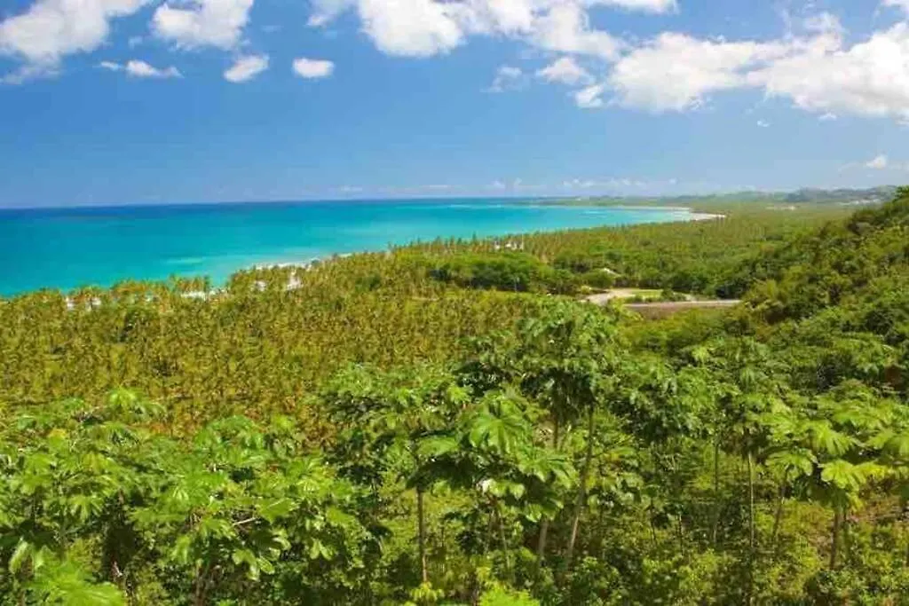 Renovated Condo At The Beach Close To Everything Las Terrenas Dominican Republic